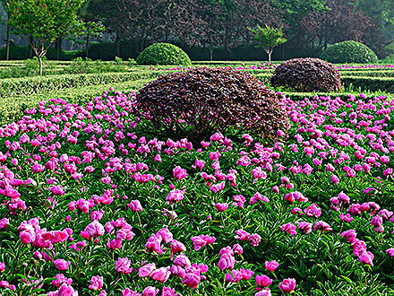 中欧登录入口产品展示四