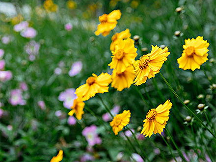 中欧登录入口客户案例三