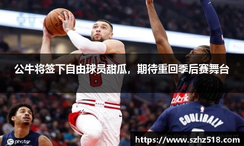 公牛将签下自由球员甜瓜，期待重回季后赛舞台